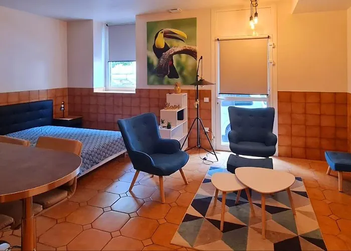 : Résidence Du Musée Centre Ville. Apartamento Mazamet