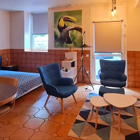 : Du Musee Centre Ville. Apartment Mazamet
